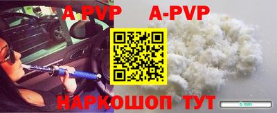 стаф Шебекино