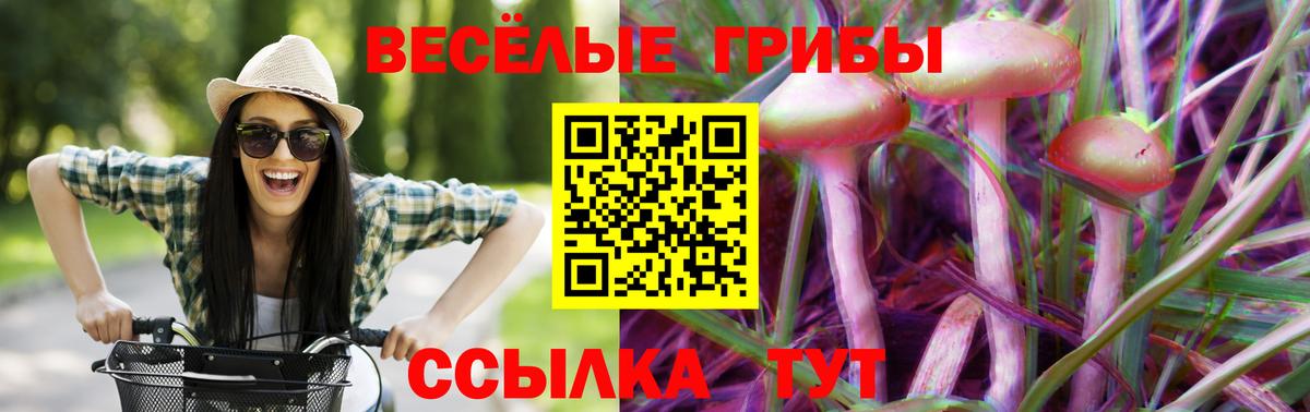 Псилоцибиновые грибы ЛСД  Вход с VPN  Ленинск-Кузнецкий  Галлюциногенные грибы MAGIC MUSHROOMS 